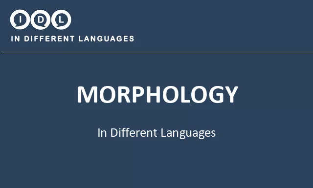 Morphology in Different Languages - Image