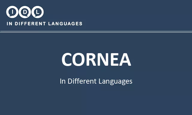 Cornea in Different Languages - Image