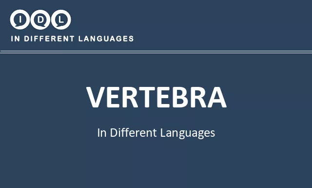Vertebra in Different Languages - Image