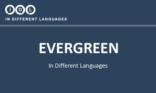 Evergreen in Different Languages - Image