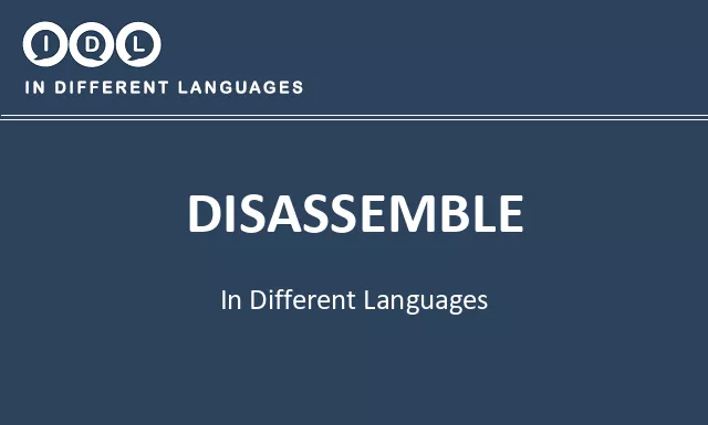 Disassemble in Different Languages - Image