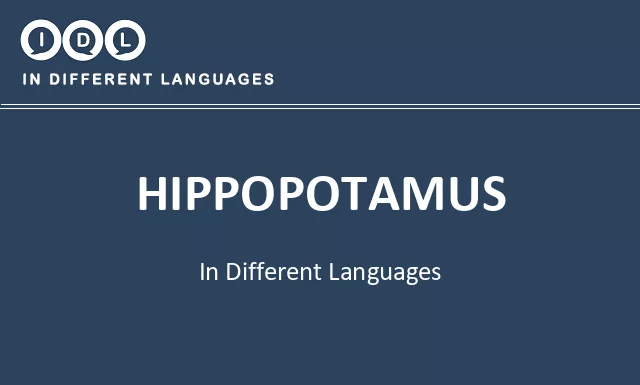 Hippopotamus in Different Languages - Image