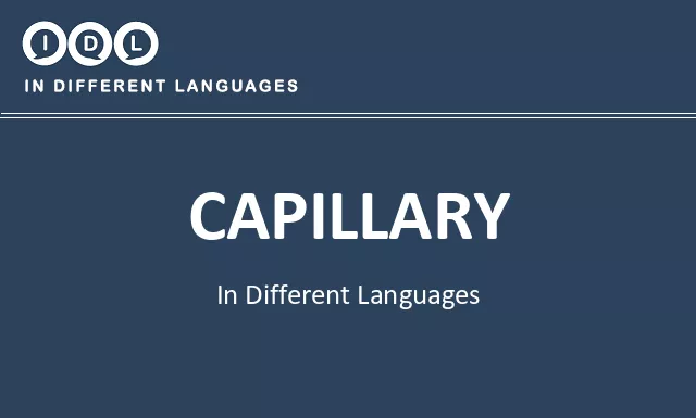 Capillary in Different Languages - Image
