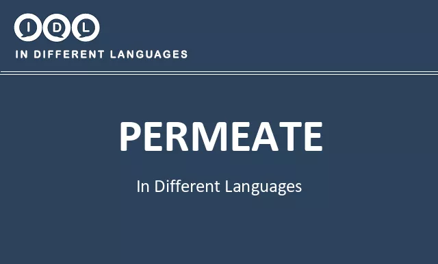 Permeate in Different Languages - Image