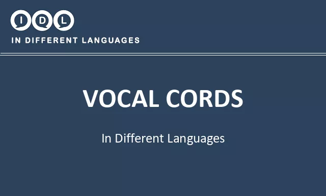 Vocal cords in Different Languages - Image