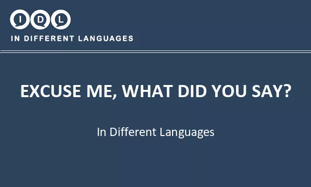 Excuse me, what did you say? in Different Languages - Image