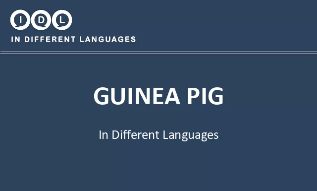 Guinea pig in Different Languages - Image