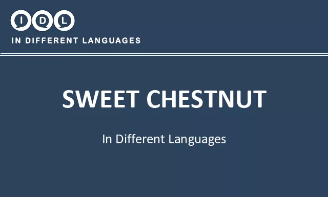 Sweet chestnut in Different Languages - Image