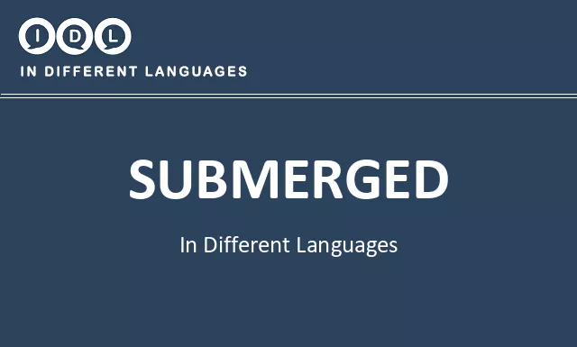 Submerged in Different Languages - Image