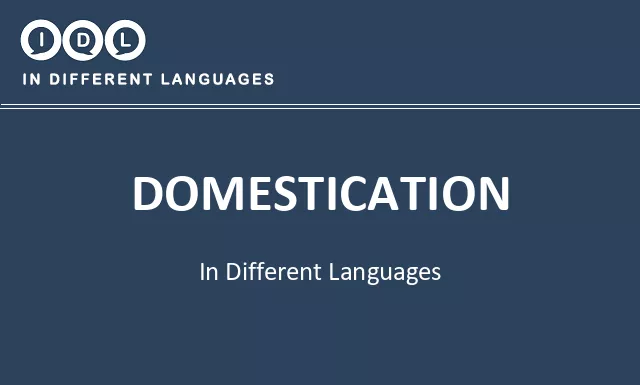 Domestication in Different Languages - Image
