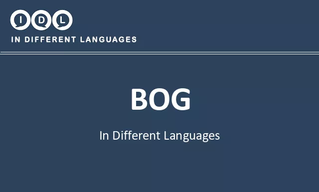 Bog in Different Languages - Image
