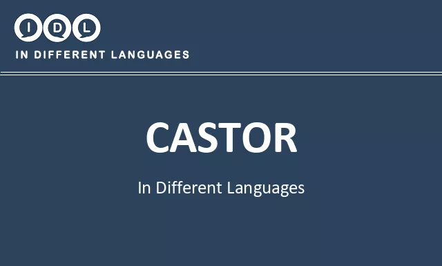 Castor in Different Languages - Image